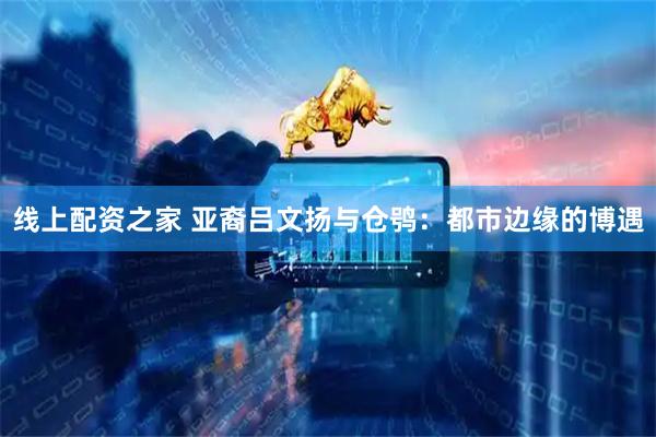 线上配资之家 亚裔吕文扬与仓鸮：都市边缘的博遇