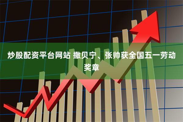 炒股配资平台网站 撒贝宁、张帅获全国五一劳动奖章