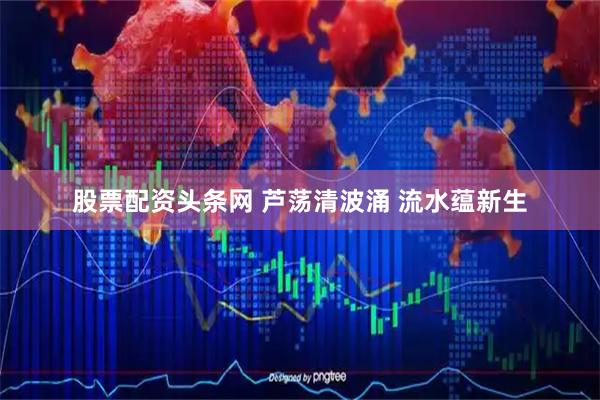 股票配资头条网 芦荡清波涌 流水蕴新生